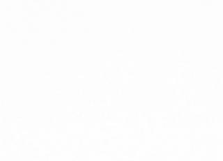 Фото - Ткани Camengo Nikko - 508683>