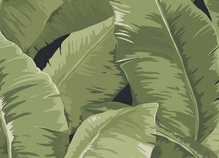 Фото - Обои Jaima Brown Charleseton Home - 242887>