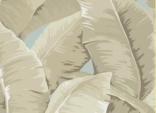 Фото - Обои Jaima Brown Charleseton Home - 242888>