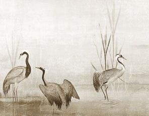 Фото - Обои Khroma Helium - 424550>