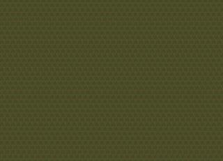 Фото - Обои Manifattura Di Tizzana Collezione 10 - 209660>