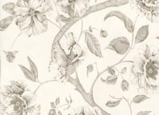 Фото - Обои Equipo DRT - 405538>