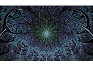 Фото - Обои Ortograf Grafika Natura - 477008>