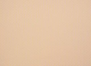 Фото - Ткани Manuel Canovas Opio - 437005>