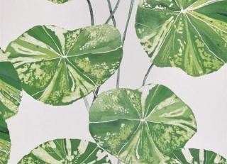 Фото - Обои Designers Guild Zardozi - 400102>