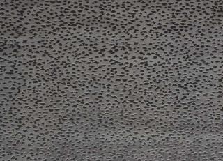 Фото - Ткани Studio G Illusion - 525577>