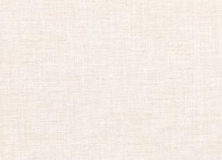 Фото - Ткани Villa Nova Vigo Semi-Plain Weave - 361358>