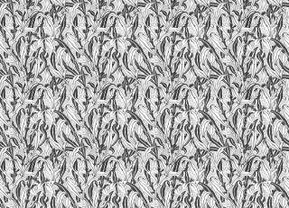 Фото - Обои Nlxl Lab3 - 340581>