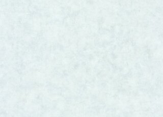 Фото - Обои Caselio Beton 2 - 631922>