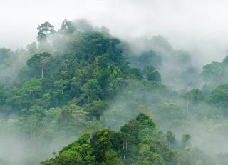 Фото - Обои Hygge Wall Hygge Wall #3 - 475924>