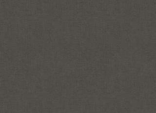 Фото - Обои Ich Dans Lemur Caribbean - 440866>