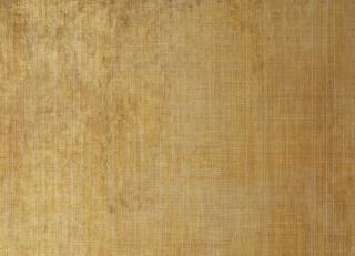 Фото - Обои Nobilis Murate - 616904>