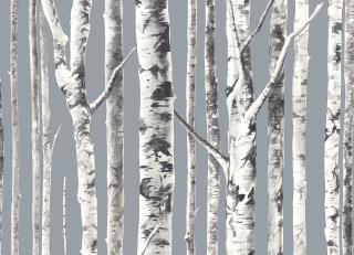 Фото - Обои Mayflower by Kt Exclusive Solaris - 350023>