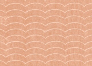 Фото - Ткани Dedar Ripley - 630723>