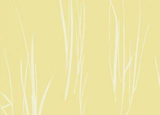 Фото - Обои Paper & Ink Coastal Chic - 308891>