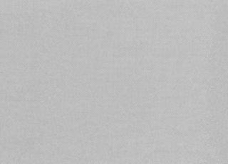 Фото - Ткани Rubelli Fiftyshades - 489404>