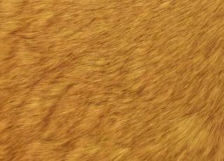 Фото - Аксессуары Pavoni Кожа Vitellina Pelo - 589068>