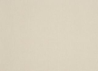 Фото - Обои Caselio Obsession - 231242>