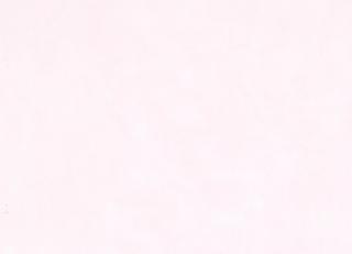 Фото - Обои KT Exclusive Tales - 347727>