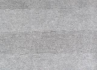 Фото - Обои Italreflexes - 237773>