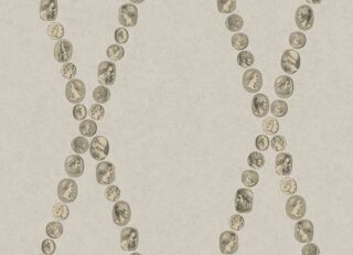 Фото - Обои Cole & Son Fornasetti Senza Tempo II - 626688>