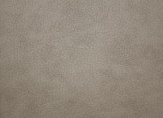 Фото - Ткани Alessandro Bini Eco leather - 438687>