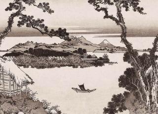 Фото - Обои Emil&Hugo Sensai - 573277>