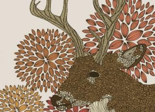 Фото - Обои Ortograf Валентина Рамос - 478335>