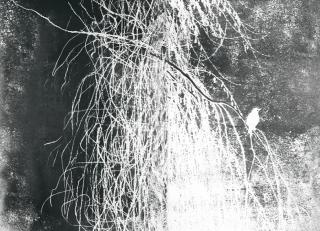 Фото - Обои Wall&Deco CODE 2018 CONTEMPORARY - 464743>