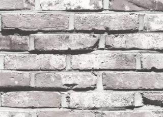 Фото - Обои Shinhan Natural  - 554948>