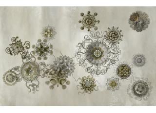 Фото - Обои Wall&Deco CODE 2015 WET SYSTEM - 462589>