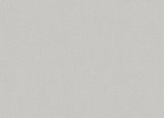 Фото - Обои Duro Smamonstrat - 608463>