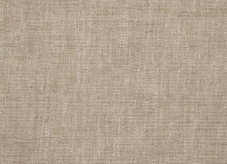 Фото - Ткани Sanderson Helena - 302692>