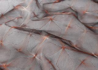 Фото - Ткани JAB Anstoetz Grandezza Infinity - 531294>