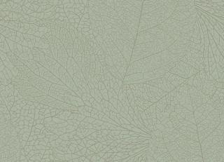 Фото - Обои Eijffinger Embrace - 579772>