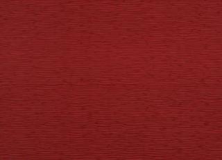 Фото - Обои Pierre Frey Racines - 311682>