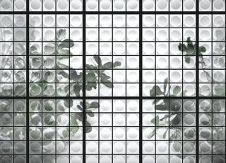 Фото - Обои Wall&Deco CODE 2019 CONTEMPORARY - 464917>