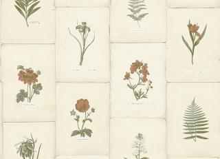 Фото - Обои Paper Partnership University of Oxford Archives vol.2 - 375760>