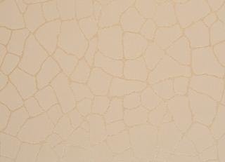 Фото - Обои Caselio Duo - 226976>