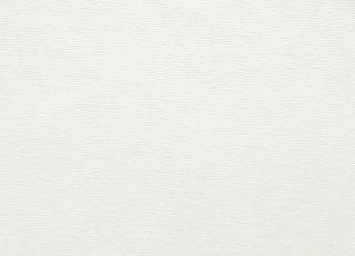 Фото - Ткани Clarke&Clarke Prima - 404421>