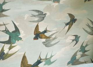 Фото - Обои Designers Guild John Derian - Picture Book - 412193>