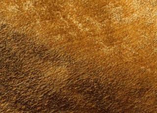 Фото - Ткани Loris Zanca Villa Regina - 361700>