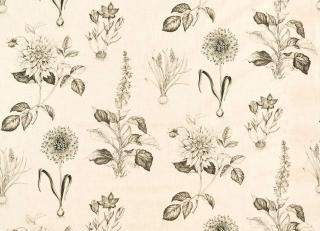 Фото - Ткани Clarke&Clarke Secret Garden - 600303>