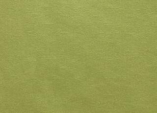 Фото - Ткани Clarke&Clarke Prima - 404429>