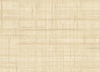 Фото - Обои Rubelli Paja Wall - 557963>