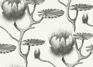 Фото - Обои Cole & Son Contemporary Restyled - 232234>