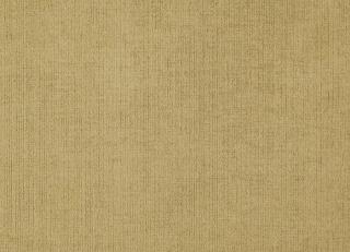 Фото - Ткани Prestigious Textiles Frontier - 444507>