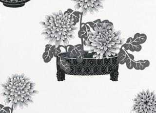 Фото - Обои Equipo DRT Senso - 405118>