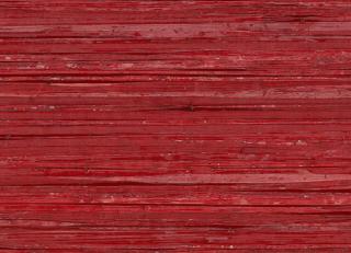 Фото - Обои Omexco Borneo - 356609>