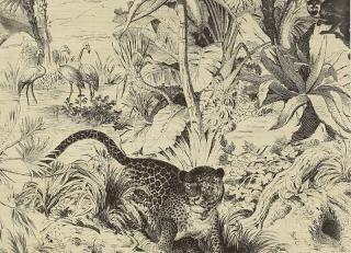 Фото - Обои Manuel Canovas Papiers Peints Vol 7 - 470777>